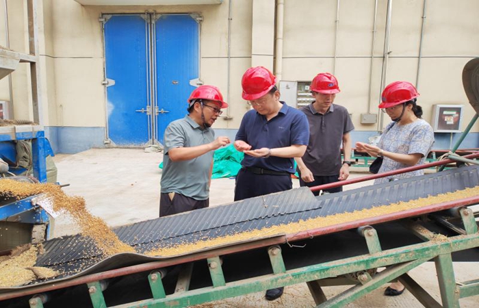 局黨組書記、局長蔣超督導(dǎo)省儲小麥?zhǔn)召徍图Z食倉儲項目建設(shè)工作