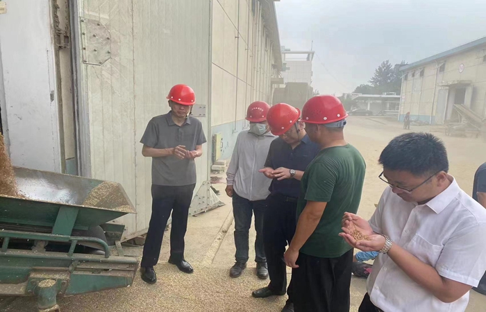 局黨組書記、局長蔣超督導(dǎo)省市級儲備糧收購、項目建設(shè)工作