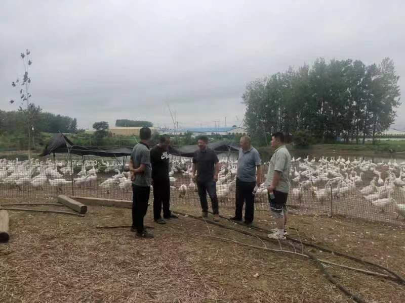 83f43d8c4239c0d5707bce02feabd79 83f43d8c4239c0d5707bce02feabd79