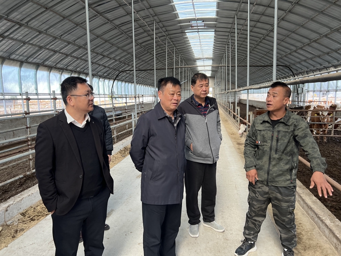 84343c0a552dd372bbc368bfadcae78 84343c0a552dd372bbc368bfadcae78