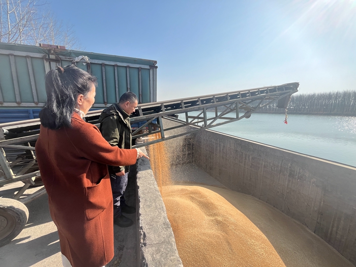 “黨建領航，守護糧安”淮糧集團開展特色品牌黨建活動