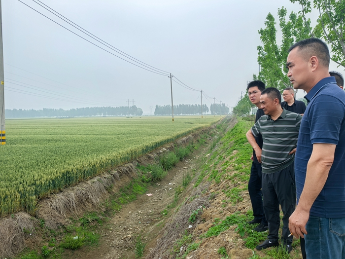 淮糧實業(yè)公司開展小麥?zhǔn)袌稣{(diào)研